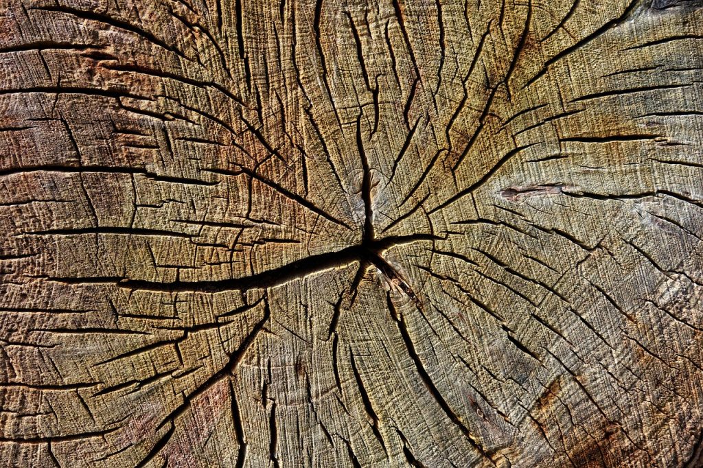 ponçage parquet à Nort-sur-Erdre