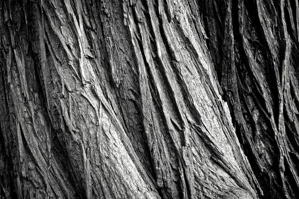 ponçage parquet à Nantes